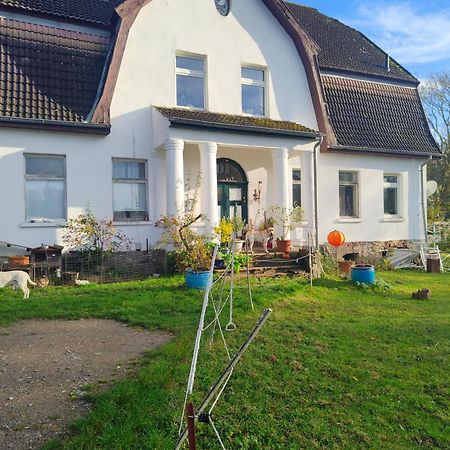 Gutshaus Im Gruenen Apartment Poseritz Bagian luar foto